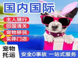 乌鲁木齐航空货运国际宠物托运 【国